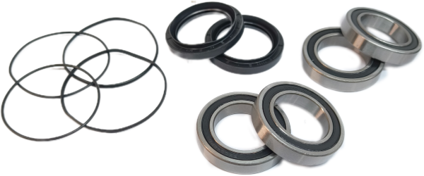 Raptor_Bearings